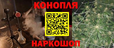 шишки Краснознаменск